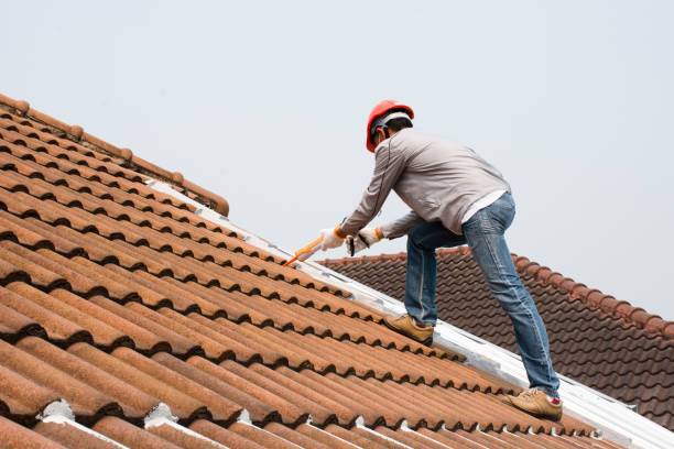 Best Rubber Roofing (EPDM, TPO)  in Memphis, MO