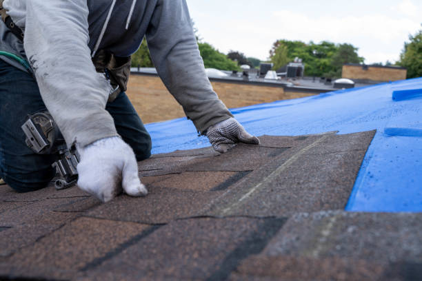 Best Metal Roofing Installation  in Memphis, MO