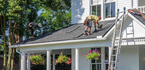 Best Chimney Flashing Repair  in Memphis, MO